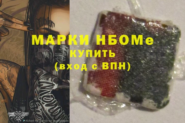 трава Новозыбков