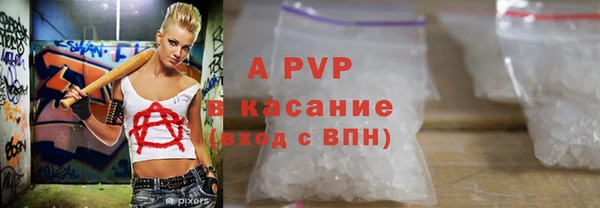 СК Новодвинск