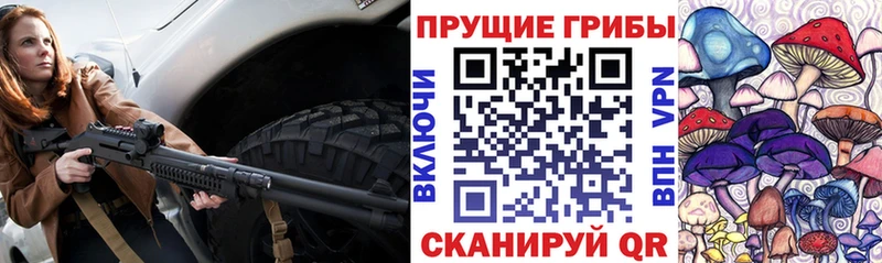 где продают   Кольчугино  площадка клад  Галлюциногенные грибы Magic Shrooms 